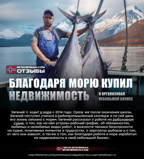 bfishg_457992.jpg