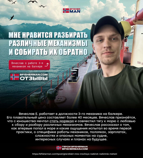 bfishg_462149.jpg