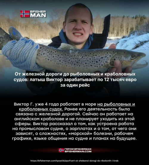 bfishg_754539.jpg