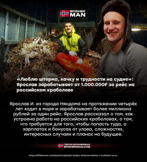 bfishg_819185.jpg